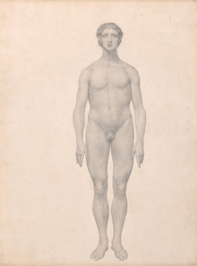 Esposizione anatomica comparativa della struttura del corpo umano con quella di una tigre e un co... da George Stubbs